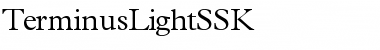 TerminusLightSSK Regular Font