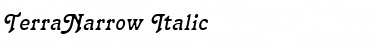 TerraNarrow Italic
