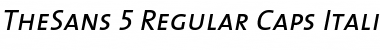 TheSans Regular Italic