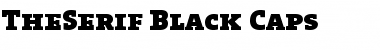 The Serif Black- Regular Font