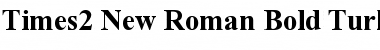Times2 New Roman Bold Turkce Font
