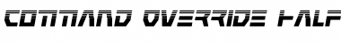 Command Override Halftone Italic Font