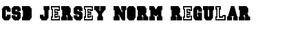 Download CSD-JERSEY-Norm Font Download CSD-JERSEY-Norm Font
