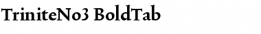 TriniteNo3 Bold Font