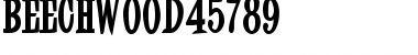 Beechwood45789 Regular Font