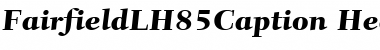 FairfieldLH85Caption-Heavy HeavyItalic Font