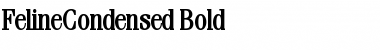 FelineCondensed Bold