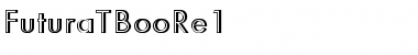 Download FuturaTBooRe1 Font Download FuturaTBooRe1 Font