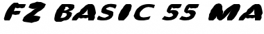 FZ BASIC 55 MANGLED ITALIC Font