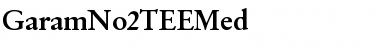 GaramNo2TEEMed Regular Font