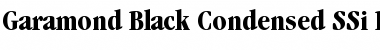 Garamond Black Condensed SSi Black Condensed Font