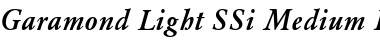 Garamond Light SSi Medium Italic Font