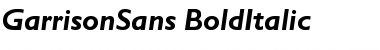 Download GarrisonSans-BoldItalic Font Download GarrisonSans-BoldItalic Font