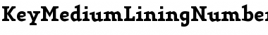 Download KeyMediumLiningNumbers Font Download KeyMediumLiningNumbers Font