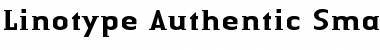 LTAuthenticSmallSerif Medium Font