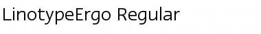 LTErgo Regular Font