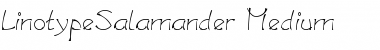 LTSalamander Medium Regular Font
