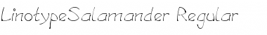 LTSalamander Regular Regular Font