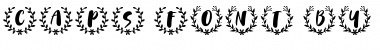 Download CAPS Font Download CAPS Font