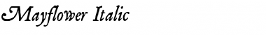 Mayflower Italic Regular