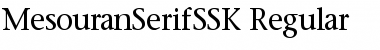 Download MesouranSerifSSK Font