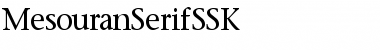 Download MesouranSerifSSK Font