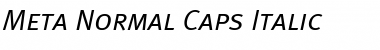 Meta Normal Italic