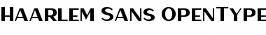 Download Haarlem Sans Font