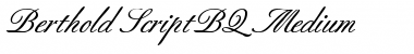 Download Berthold Script BQ Font