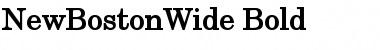 Download NewBostonWide Font