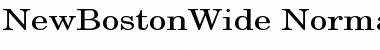 Download NewBostonWide Font