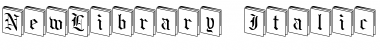 NewLibrary Italic Font