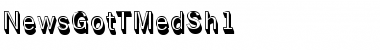 Download NewsGotTMedSh1 Font Download NewsGotTMedSh1 Font