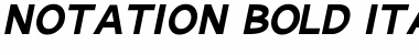 Notation Bold Italic JL Regular Font