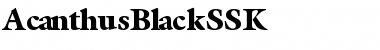 AcanthusBlackSSK Font