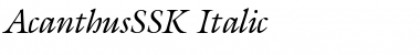 AcanthusSSK Italic