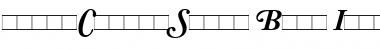 AdobeCaslonSwash BoldItalic Font