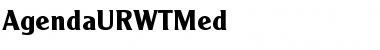 Download AgendaURWTMed Font Download AgendaURWTMed Font