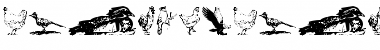 Download AnimalsAnimalsBirds Font Download AnimalsAnimalsBirds Font