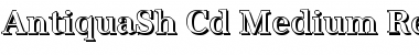 AntiquaSh-Cd-Medium Regular Font