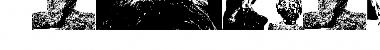 Download AParliamentofOwls3 Font Download AParliamentofOwls3 Font