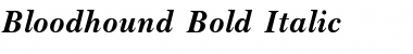 Bloodhound Bold Italic Bold Italic Font