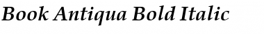 Book Antiqua Bold Italic