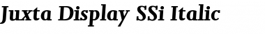 Juxta Display SSi Italic