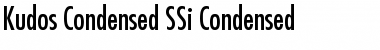 Kudos Condensed SSi Font